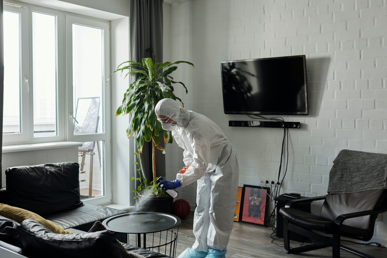 cleaning
